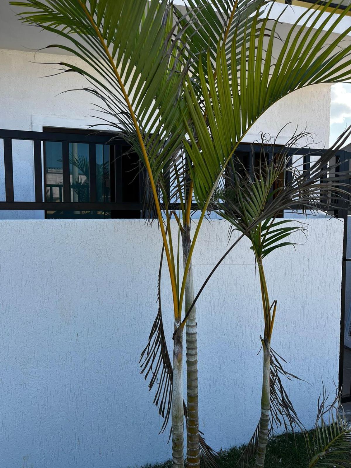 Сasa de vacaciones Meu Loft Barra Nova 4 *